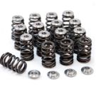 Picture for category Valve Springs and Retainers