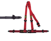 Picture of 3-point harness with Central Release