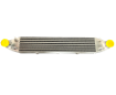 Picture of Intercooler - Ford Fiesta ST180
