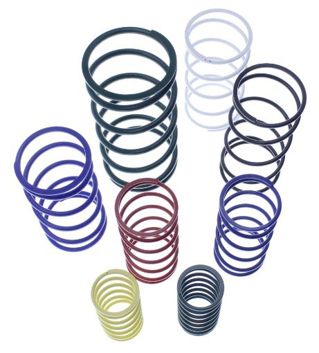 Picture of Replacement Springs - Wastegate