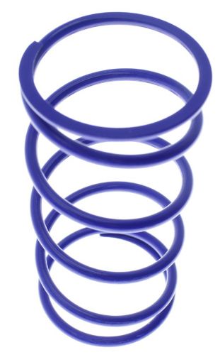 Picture of Outer replacement spring - OD 47.1mm - Blue