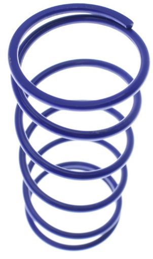 Picture of Middle replacement spring - OD 38.1mm - Blue