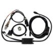 Picture of Innovate LC-2 - Blue display light - 3795
