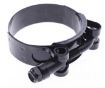 Picture of T-bolt stainless steel clamp black 2"