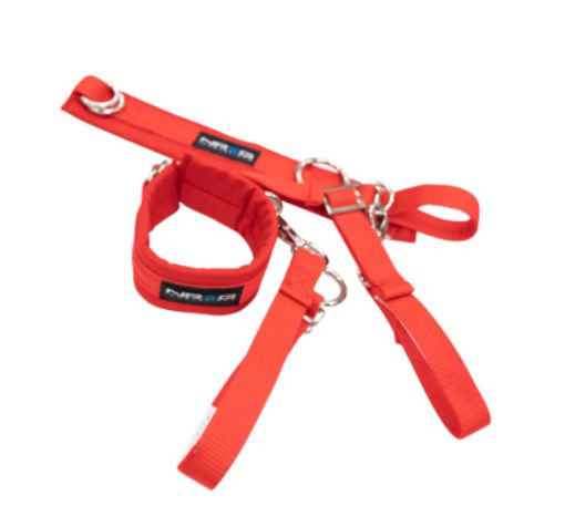 Picture of NRG SFI 3.3 Arm Restraints One Pair - Red