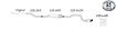Picture of Simons sport silencer BMW E81/E87 120d/123d