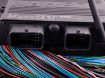 Picture of MaxxECU RACE STANDARD (ECU, harness 1 and accessories)