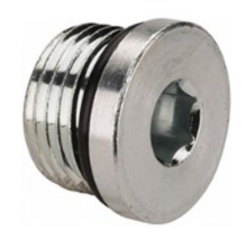 Picture of 1/4 Bspp plug