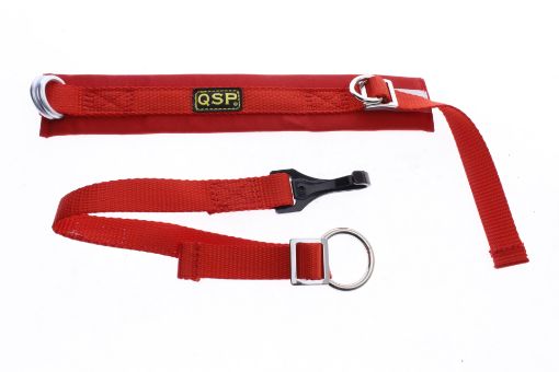 Picture of QSP Arm strop - Arm restraints SFI 3.3 Approval - RED