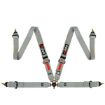 Picture of RRS FIA 4-Point Grey Harness