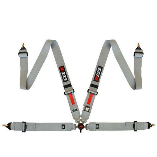 Picture of RRS FIA 4-Point Grey Harness