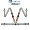 Picture of RRS FIA 4-Point Grey Harness