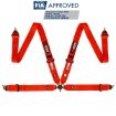 Picture of RRS FIA EVO 4 2.5 Kg Red Harness (4-Point)