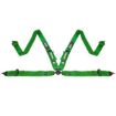 Picture of RRS FIA EVO 4 2.5 Kg Green Harness (4-Point)