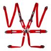 Picture of RRS FIA HANS® ONE 6-Point Red Harness