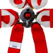 Picture of RRS FIA HANS® ONE 6-Point Red Harness
