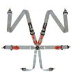 Picture of RRS FIA R6 Grey Harness