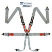 Picture of RRS FIA R6 Grey Harness