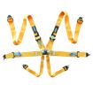 Picture of RRS FIA R6 2.9 Kg Yellow Harness (6-Point)