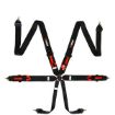 Picture of RRS FIA R6 2.9 Kg Black Harness (6-Point)