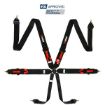 Picture of RRS FIA R6 2.9 Kg Black Harness (6-Point)