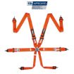 Picture of RRS FIA R6 Orange Harness