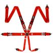 Picture of RRS FIA R6 2.9 Kg Red Harness (6-Point)