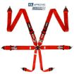 Picture of RRS FIA R6 2.9 Kg Red Harness (6-Point)