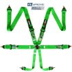 Picture of RRS FIA R6 Green Harness