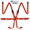 Picture of RRS FIA 3" 2" R6 HANS® 2.8 Kg Red Harness