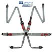 Picture of RRS FIA 3" 2" R6 HANS® 2.8 Kg Grey Harness