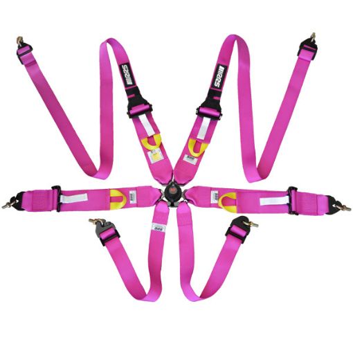 Picture of RRS FIA 3" 2" R6 HANS® Superlight 2.8 Kg Pink Harness
