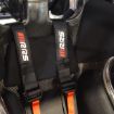 Picture of RRS FIA R6 Light Evo Harnesses