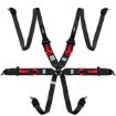 Picture of RRS FIA R6 HANS XL Harnesses
