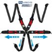 Picture of RRS FIA R6 HANS XL Harnesses