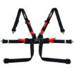 Picture of Single-seater FIA HANS® Harness – Black