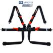 Picture of Single-seater FIA HANS® Harness – Black