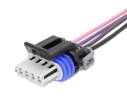 Picture of MSD 8287 connector - connector for LS2 / LS7