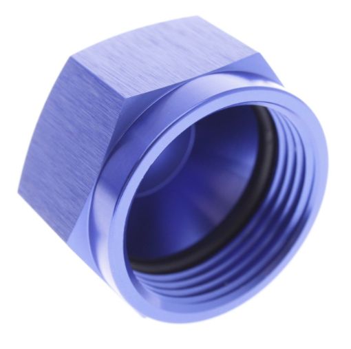 Picture of AN20B Prop with O-ring Gasket - Female - Blue Alu