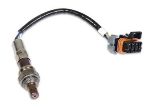Picture of Holley 554-100 - Holley EFI O2 Sensors
