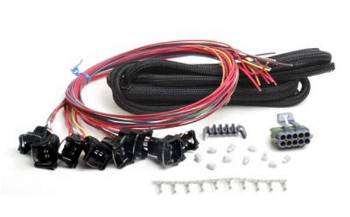 Picture of Holley EFI Systems Wiring Harnesses 558-204