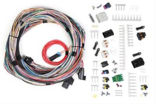 Picture of Holley EFI Systems Wiring Harnesses 558-105