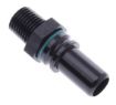 Picture of AN8 - 1/4"NPT - Black