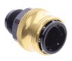 Picture of AN male quick connect adapter -Black/Gold - AN10