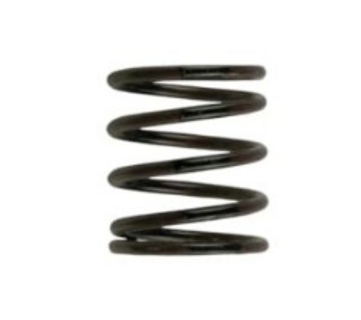 Picture of Turbosmart Gen4 IWG/WG38/40/45/50L 3PSI INNER SPRING – BROWN/BLACK