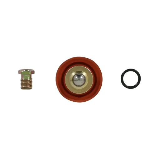 Picture of AEM rebuild kit for EFI fuel pressure regulator